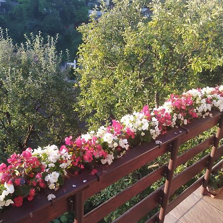 Casa Kelemen Apartment Совата Екстериор снимка