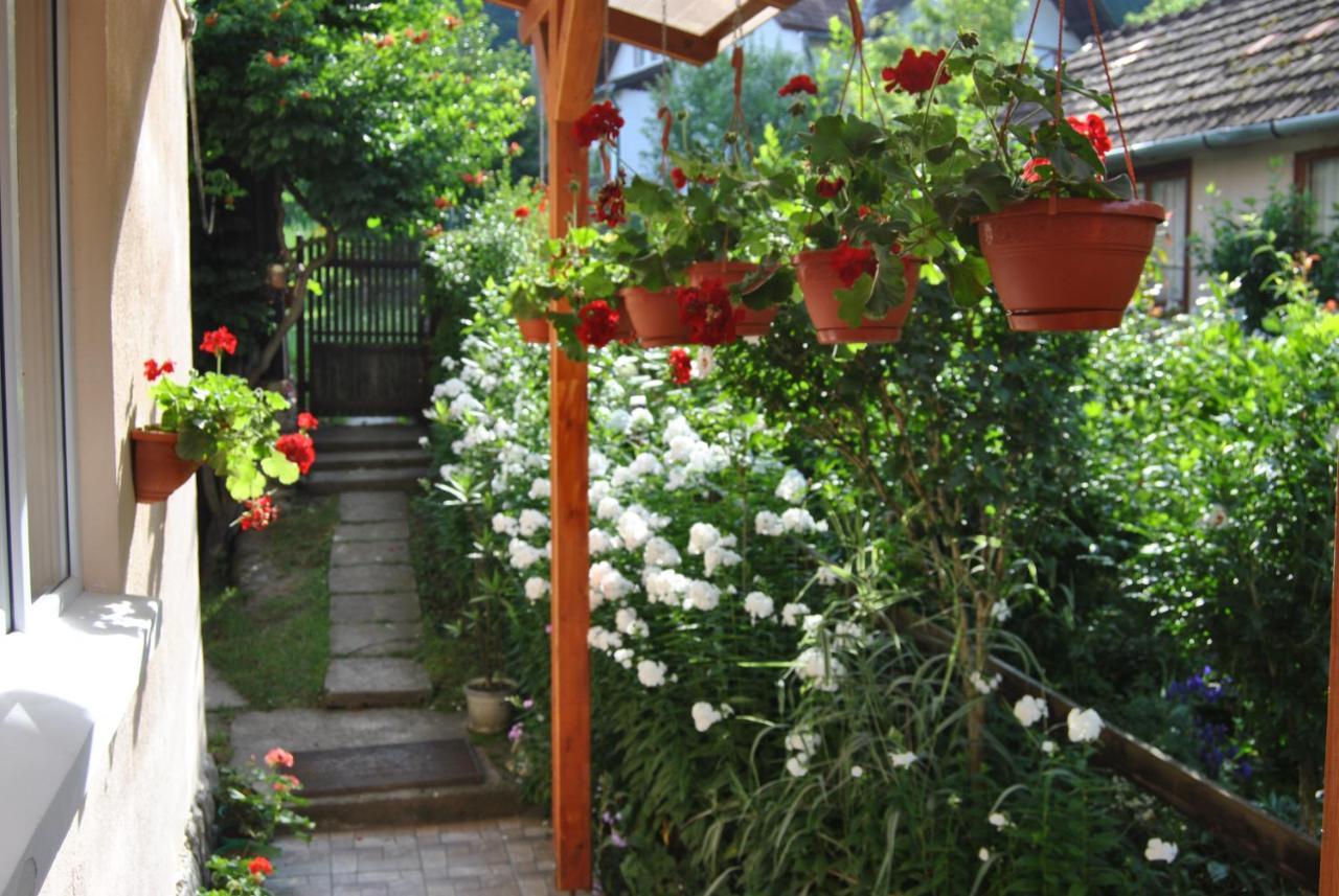 Casa Kelemen Apartment Совата Екстериор снимка