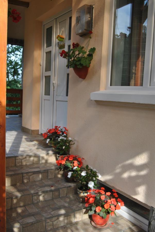 Casa Kelemen Apartment Совата Екстериор снимка