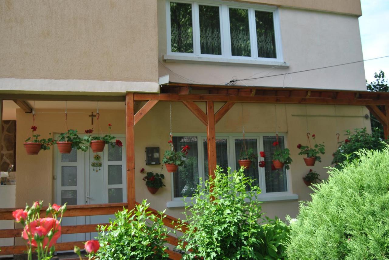 Casa Kelemen Apartment Совата Екстериор снимка