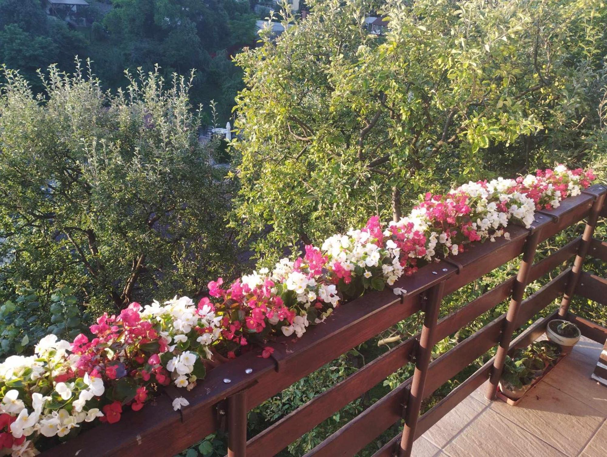 Casa Kelemen Apartment Совата Екстериор снимка