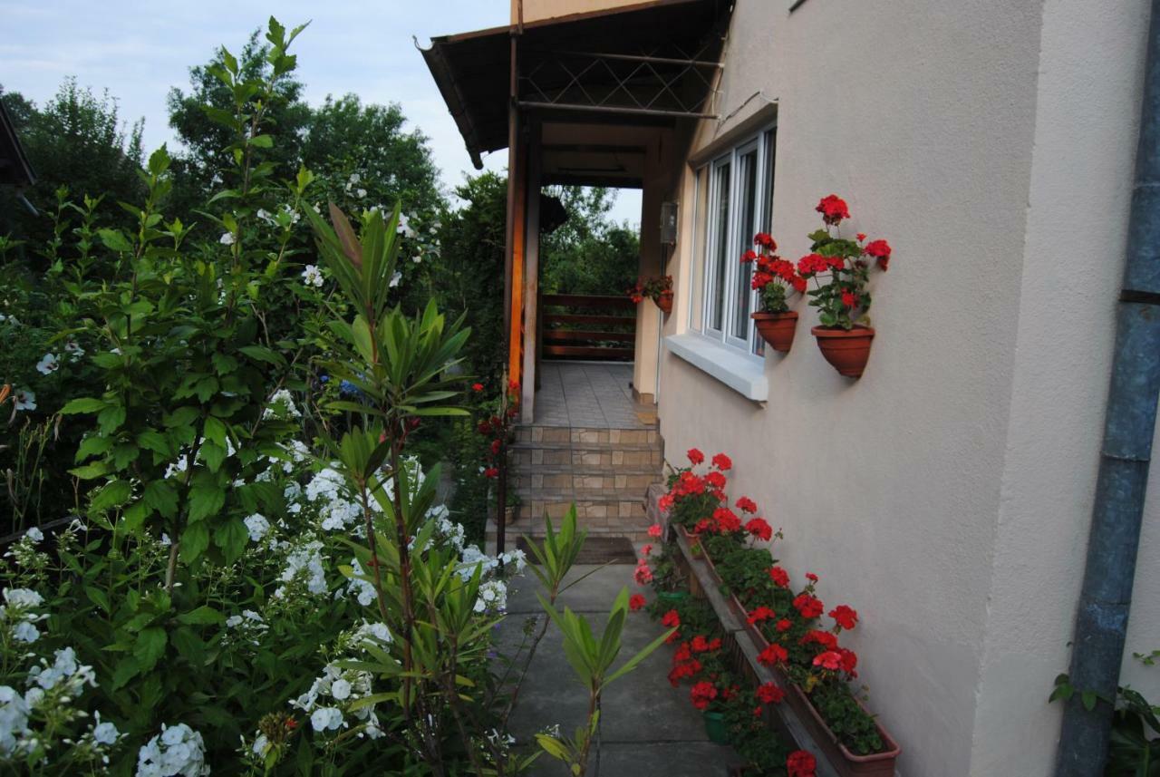 Casa Kelemen Apartment Совата Екстериор снимка